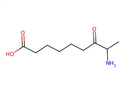 8-氨基-7-氧代壬酸 structure