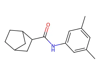 N-(3,5-dimethylphenyl)bicyclo[2.2.1]heptane-2-carboxamide structure
