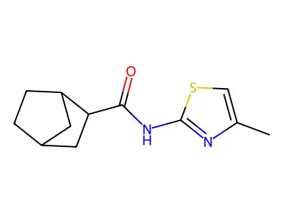N-(4-methyl-1,3-thiazol-2-yl)bicyclo[2.2.1]heptane-2-carboxamide structure