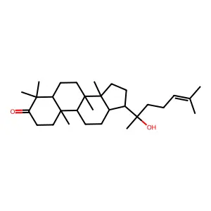 龙脑香醇酮 structure