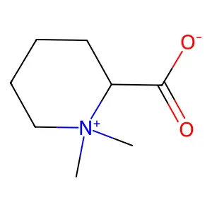 Homostachydrine structure