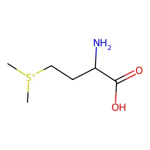 維生素U structure