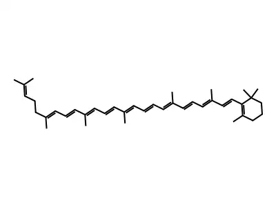 Γ-胡萝蔔素 structure