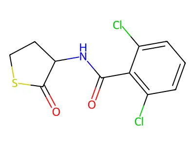 2,6-dichloro-N-(2-oxothiolan-3-yl)benzamide structure