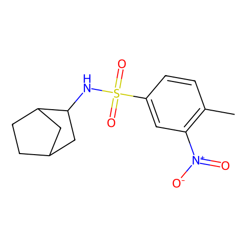 N-bicyclo[2.2.1]hept-2-yl-3-nitro-4-methylbenzenesulfonamide structure