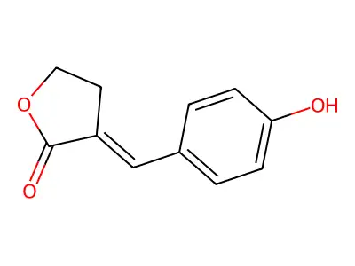 3-[(4-Hydroxyphenyl)methylidene]oxolan-2-one structure