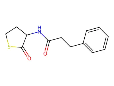 N-(2-oxothiolan-3-yl)-3-phenylpropanamide structure