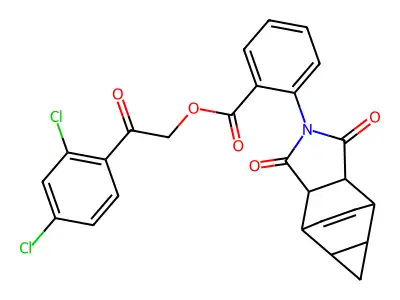 RCL L210056 structure
