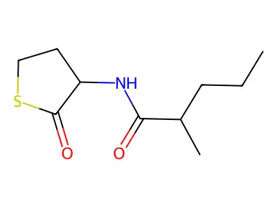 2-methyl-N-(2-oxotetrahydrothiophen-3-yl)pentanamide structure