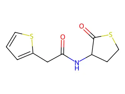 N-(2-oxotetrahydrothiophen-3-yl)-2-(thiophen-2-yl)acetamide structure