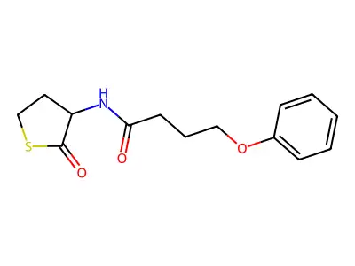 N-(2-oxotetrahydrothiophen-3-yl)-4-phenoxybutanamide structure