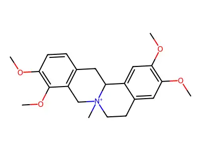 N-Methyltetrahydropalmatine structure