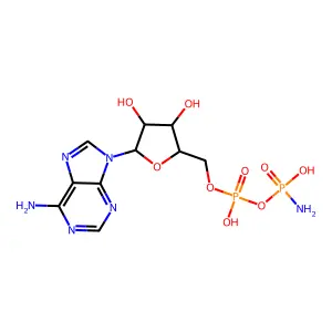 Amp Phosphoramidate structure