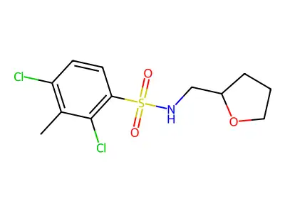 2,4-dichloro-3-methyl-N-(oxolan-2-ylmethyl)benzenesulfonamide structure