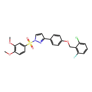 2R-0125 structure