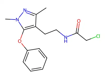 2-chloro-N-[2-(1,3-dimethyl-5-phenoxy-1H-pyrazol-4-yl)ethyl]acetamide structure