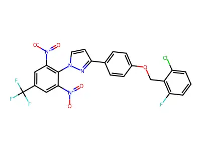 3R-0262 structure