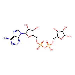 Adp-ribose structure
