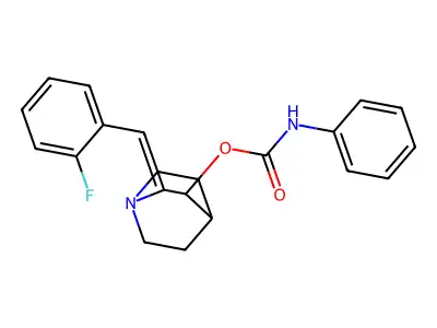Bionet1_003806 structure