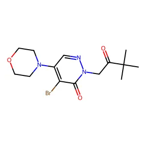 4-bromo-2-(3,3-dimethyl-2-oxobutyl)-5-morpholino-3(2H)-pyridazinone structure
