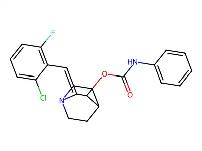 Bionet1_004553 structure