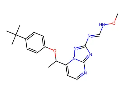 B-Tpmf structure