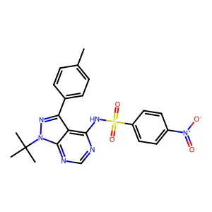 N-[1-(tert-butyl)-3-(4-methylphenyl)-1H-pyrazolo[3,4-d]pyrimidin-4-yl]-4-nitrobenzenesulfonamide structure