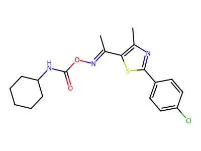 Bionet1_004855 structure