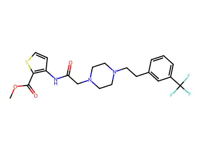 2P-531S structure
