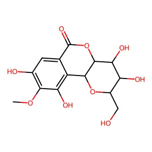 岩白菜素 structure