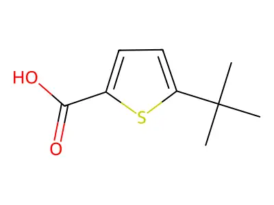 5-Tert-butylthiophene-2-carboxylic acid structure