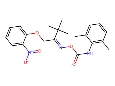 Bionet1_003939 structure