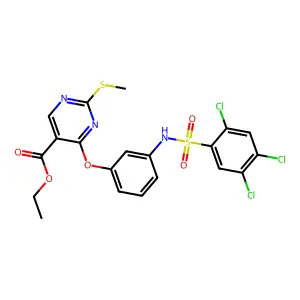 6R-1172 structure