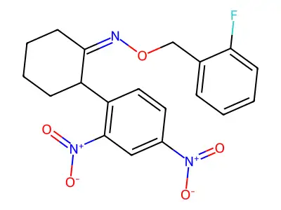 2-(2,4-dinitrophenyl)-N-[(2-fluorophenyl)methoxy]cyclohexan-1-imine structure