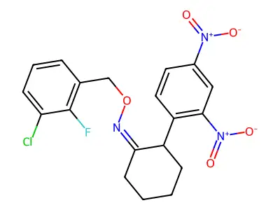 N-[(3-chloro-2-fluorophenyl)methoxy]-2-(2,4-dinitrophenyl)cyclohexan-1-imine structure