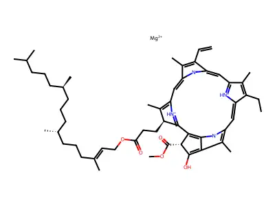 葉綠素a structure
