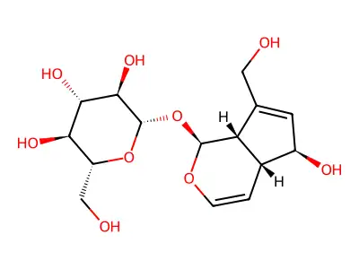 桃叶珊瑚苷 structure