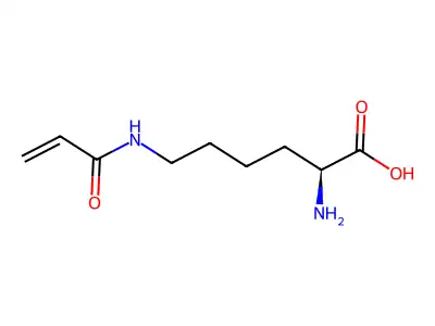 2-Amino-6-(prop-2-enoylamino)hexanoic acid structure
