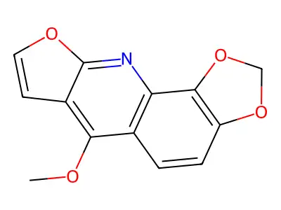 Kokusagine structure
