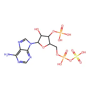 3'-磷酸腺苷-5'-磷酸硫酸盐 structure