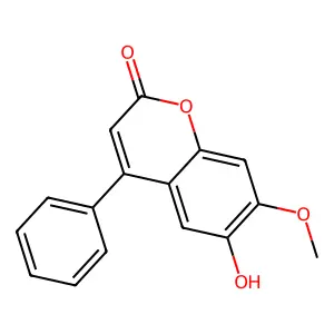 Dalbergin structure