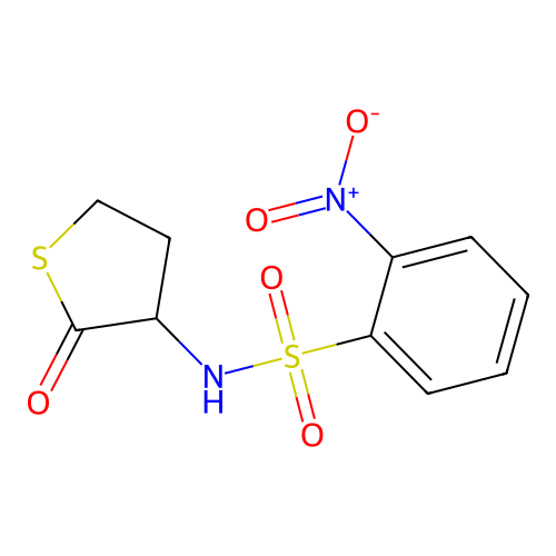 2-nitro-N-(2-oxotetrahydrothiophen-3-yl)benzenesulfonamide structure