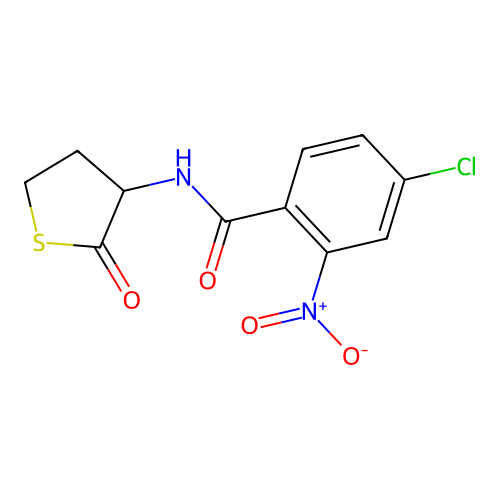 4-chloro-2-nitro-N-(2-oxotetrahydrothiophen-3-yl)benzamide structure