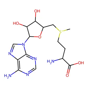 酰基肉碱 structure
