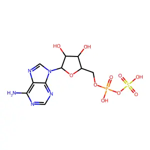 9-{5-O-[羟基(磺酰氧基)磷酰]戊呋喃糖基}-9H-嘌呤-6-胺 structure