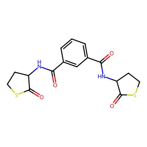 1-N,3-N-bis(2-oxothiolan-3-yl)benzene-1,3-dicarboxamide structure