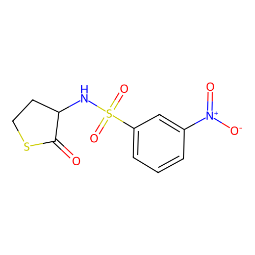 3-nitro-N-(2-oxothiolan-3-yl)benzenesulfonamide structure