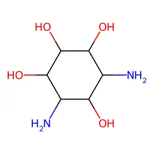 Streptamine structure