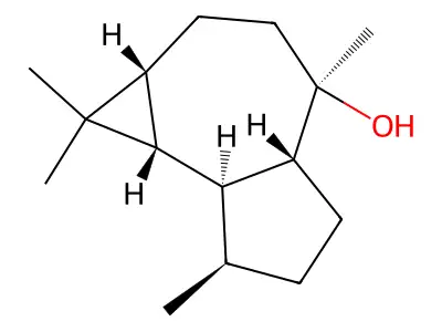 Globulol structure