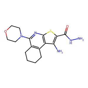 1-amino-5-morpholin-4-yl-6,7,8,9-tetrahydrothieno[2,3-c]isoquinoline-2-carbohydrazide structure